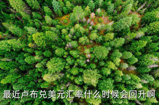 盧布什么時候能回升，最近盧布兌美元匯率什么時候會回升啊