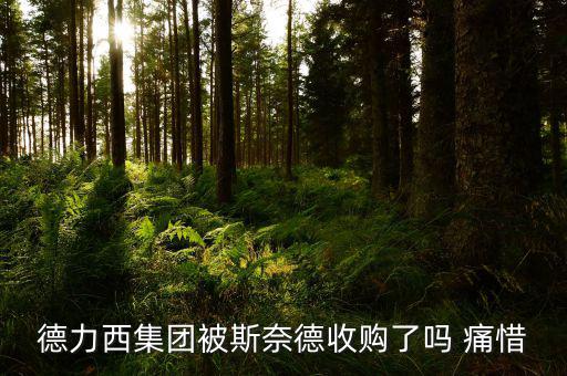 德力西什么時候被收購的，德力西集團(tuán)被斯奈德收購了嗎 痛惜