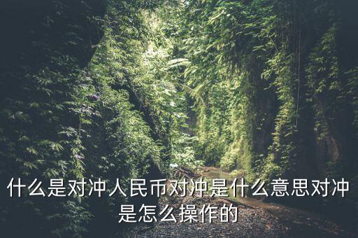 什么是基金a基金b對沖，什么是對沖人民幣對沖是什么意思對沖是怎么操作的