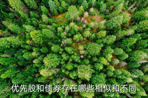 境外優(yōu)先股是什么，優(yōu)先股試點是什么說的詳細點