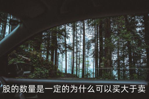 為什么可以買超過(guò)100萬(wàn)股，股的數(shù)量是一定的為什么可以買大于賣