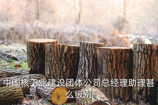 中國核工業(yè)集團什么級別，中國核工業(yè)建設團體公司總經理助理甚么級別