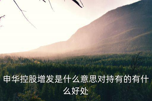 申華控股是什么板塊，申華控股怎么樣