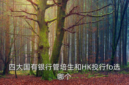 四大去投行有什么優(yōu)勢，女 研究生畢業(yè)想進投行 考研想考北大 清華 復旦或者香港大學 請問這四