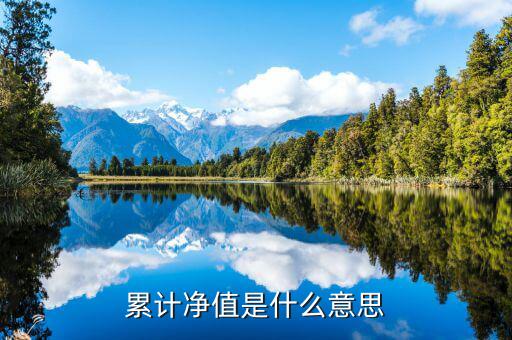 累計凈值是什么意思，累計凈值是什么意思