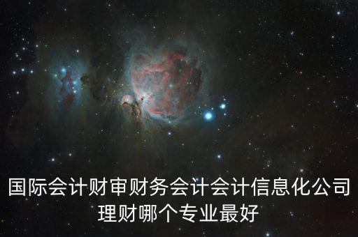 財(cái)審會是什么，國際會計(jì)財(cái)審財(cái)務(wù)會計(jì)會計(jì)信息化公司理財(cái)哪個(gè)專業(yè)最好