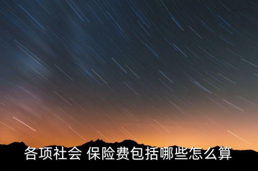 各項(xiàng)社會 保險(xiǎn)費(fèi)包括哪些怎么算