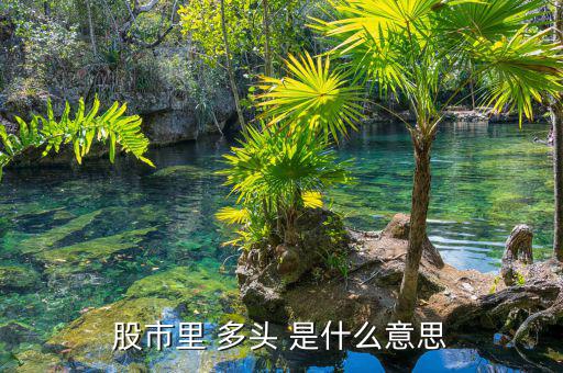 股市里什么叫多頭，股市里 多頭 是什么意思