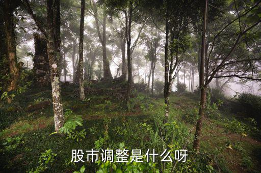 股市調(diào)整是什么意思，經(jīng)常有聽到股票調(diào)整是什么意思啊