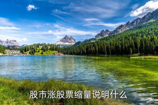股市漲股票縮量說(shuō)明什么