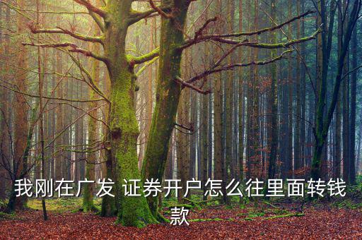 怎么往證券資金賬戶里打錢,銀行-證券轉賬操作步驟如下