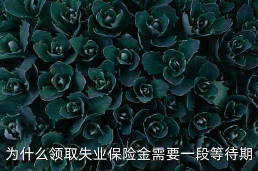 失業(yè)保險(xiǎn)為什么應(yīng)設(shè)等待期限，為什么領(lǐng)取失業(yè)保險(xiǎn)金需要一段等待期