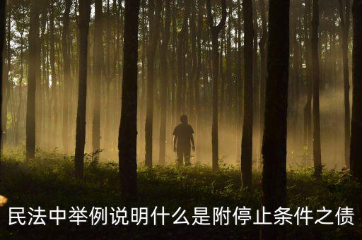 附停止條件的合同是什么意思，請教一下 怎么理解附條件和附期限合同啊 最好舉個例子 萬分感謝  搜