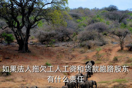 法人跑路屬于什么罪，申請勞動(dòng)仲裁被告用人單位法人代表逃跑了怎么辦他將背負(fù)什么罪