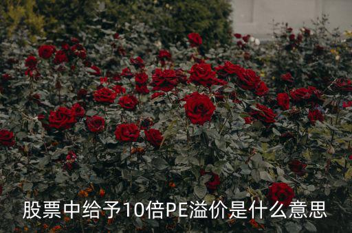 股票10倍市盈率什么意思，買10倍市盈率上下的大盤股什么意思