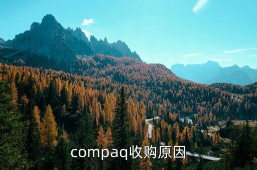 泰一指尚為什么被收購(gòu)，compaq收購(gòu)原因