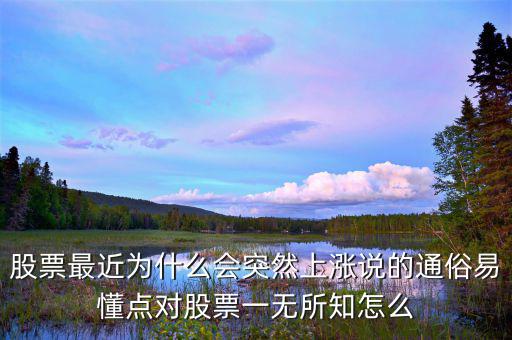 股票最近為什么會(huì)突然上漲說的通俗易懂點(diǎn)對股票一無所知怎么