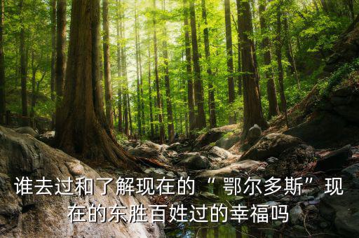 誰(shuí)去過(guò)和了解現(xiàn)在的“ 鄂爾多斯”現(xiàn)在的東勝百姓過(guò)的幸福嗎