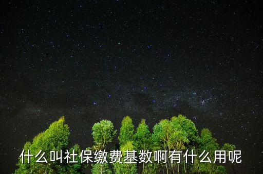 社保繳費(fèi)基數(shù)有什么用，什么叫社保繳費(fèi)基數(shù)啊有什么用呢
