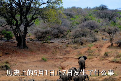 史上5月1日發(fā)生了什么，歷史上的5月1日止7日發(fā)生了什么事