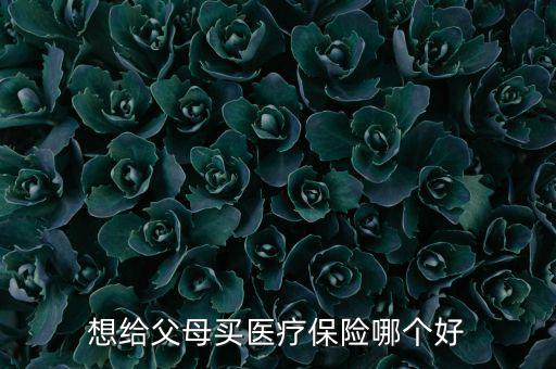 給父母買什么醫(yī)療保險好，想給父母買醫(yī)療保險哪個好