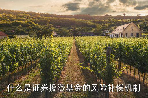 什么是風險補償機制，什么是信貸風險補償機制