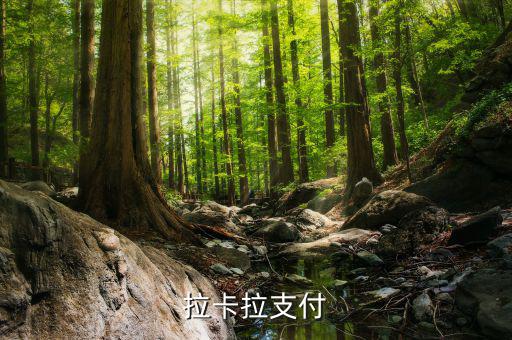 拉卡拉便利支付是什么，什么是銀聯(lián)拉卡啦支付