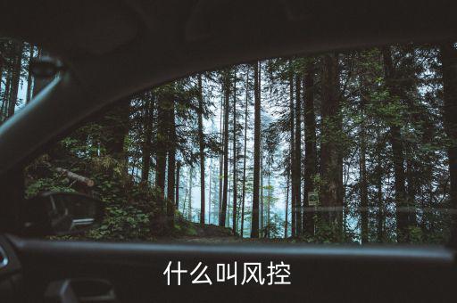 易到風(fēng)控什么意思，什么叫風(fēng)控