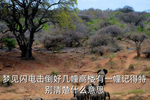 什么是閃電崩盤，a mini flash crash什么意思