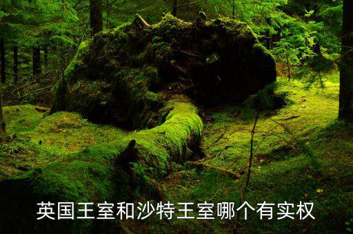 沙特王子有什么特權(quán)，有錢(qián)任性沙特王子為什么那么有錢(qián)
