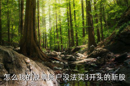 3開(kāi)頭的股票為什么不能買(mǎi)，請(qǐng)問(wèn)新開(kāi)戶(hù)的股民為什么不能買(mǎi)3字開(kāi)頭的股票