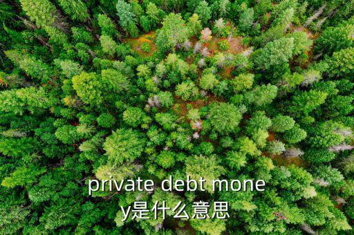 私人配售什么意思，private debt placement是什么意思啊