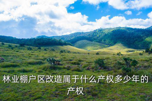什么是林業(yè)棚戶區(qū)，請問蛟河林業(yè)棚戶區(qū)建造的樓房為什么收取物業(yè)費會和取暖費捆綁在一