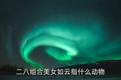 二八組合是什么意思，二八是什么意思