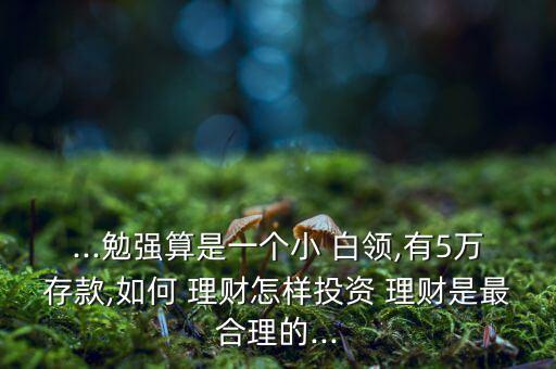 ...勉強算是一個小 白領,有5萬存款,如何 理財怎樣投資 理財是最合理的...