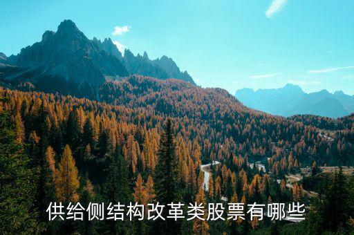 供給側(cè)最利好什么股票，供給側(cè)改革概念股有哪些