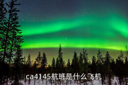 國(guó)航333是什么機(jī)型，飛機(jī)機(jī)型333怎么樣