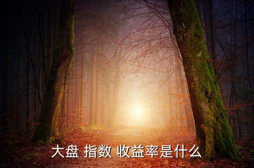 大盤(pán) 指數(shù) 收益率是什么