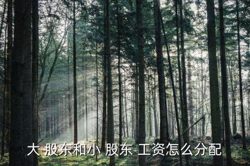 股東工資怎么發(fā),股東對公司債務(wù)承擔有限或無限責任