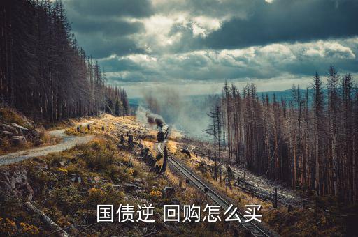 國(guó)債逆 回購(gòu)怎么買(mǎi)