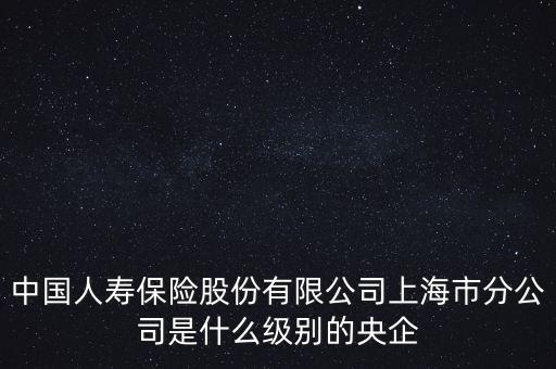 中國人壽保險(xiǎn)股份有限公司上海市分公司是什么級(jí)別的央企