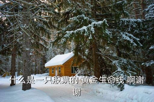 什么是股市生命線(xiàn)，什么是一只股票的 黃金生命線(xiàn) 啊謝謝
