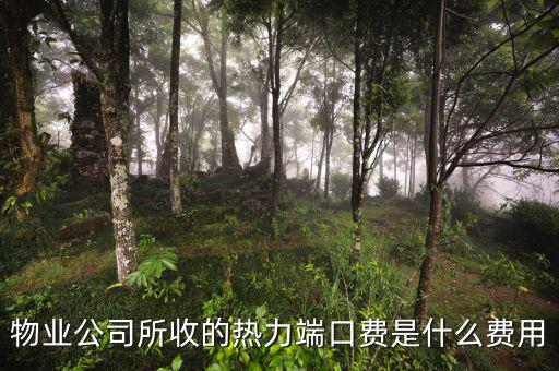 什么是端口費，現(xiàn)在電信包月網(wǎng)線得多少錢還有那端口費是什么意思