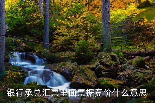 票據(jù)網(wǎng)交易是什么意思，中國(guó)票據(jù)網(wǎng)httpwwwzgpjwcom中的票據(jù)轉(zhuǎn)貼直貼買(mǎi)入直貼賣(mài)出