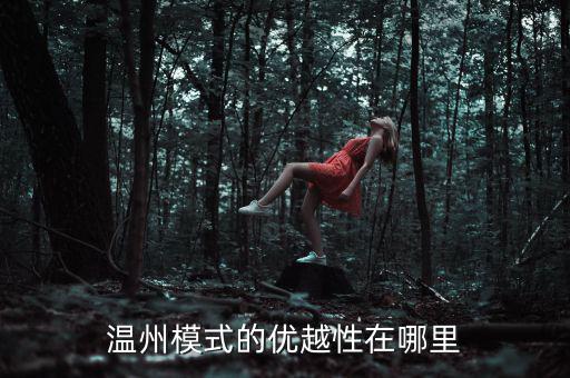 溫州模式為什么具有很強的經(jīng)濟性，溫州模式取得成功的原因6分題