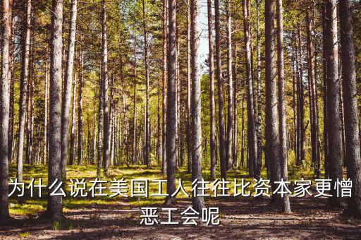 為什么說在美國(guó)工人往往比資本家更憎惡工會(huì)呢