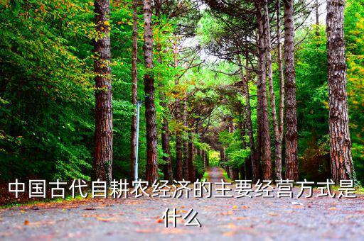 傳統(tǒng)農(nóng)業(yè)的經(jīng)營主體是什么，中國古代自耕農(nóng)經(jīng)濟(jì)的主要經(jīng)營方式是什么