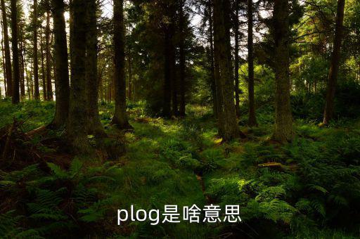 airbnb是什么意思，booking是什么意思