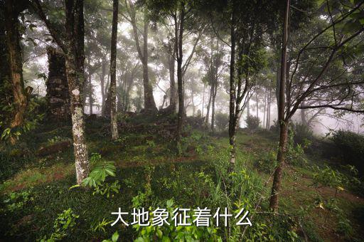 高地價(jià)象征什么，大地象征著什么