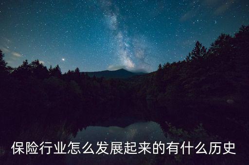 保險(xiǎn)首先是從什么發(fā)展而來(lái)的，保險(xiǎn)行業(yè)怎么發(fā)展起來(lái)的有什么歷史
